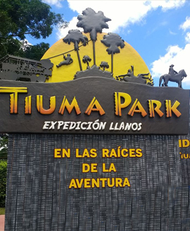 turismo tiuma park
