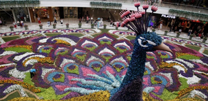 turismo medellin feria de las flores