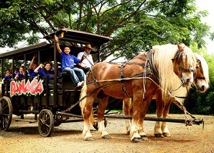 promociones viajes al eje cafetero - Rutas Colombianas